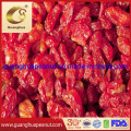 Good Quality and Hot Sale Dried Tomato Cherry